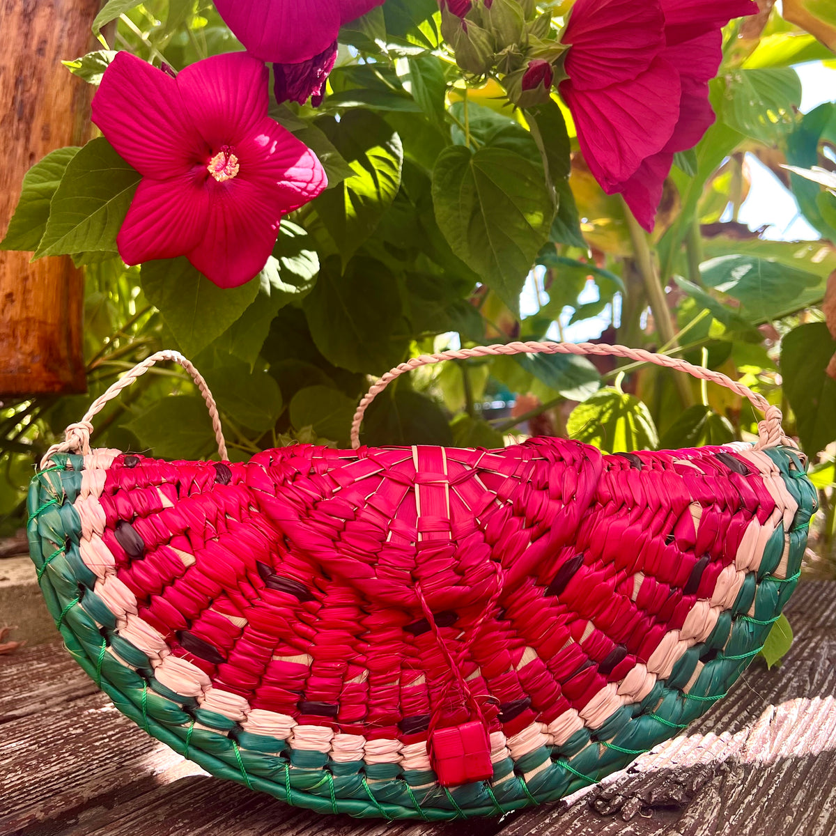 Bolso Sandía